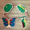 Life Cycle of a Butterfly - Image 4