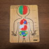 My Amazing Body - Image 3